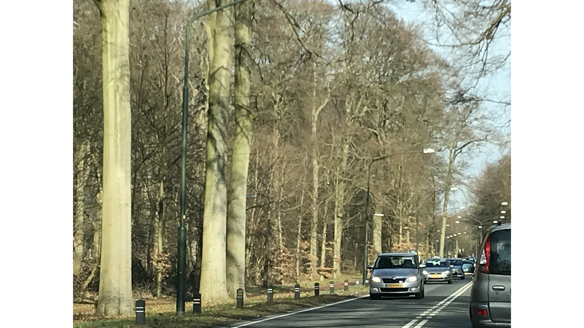 Foto: Kennemerstraatweg Heilooer bos auto.jpg